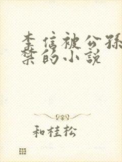 李信被公孙离囚禁的小说