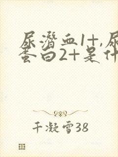 尿潜血1+,尿蛋白2+是什么意思