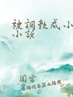 被调教成小母狗小说