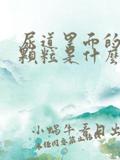 尿道里面的白色颗粒是什么