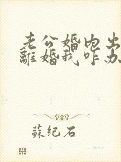 老公婚内出轨提离婚我咋办