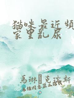 猫咪最近频繁在家里乱尿