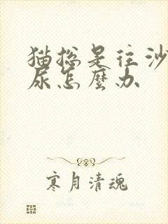 猫总是往沙发上尿怎么办