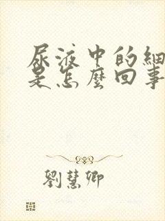 尿液中的细菌高是怎么回事