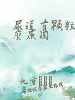 尿道有颗粒是什么原因