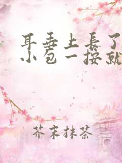 耳垂上长了一个小包一按就疼