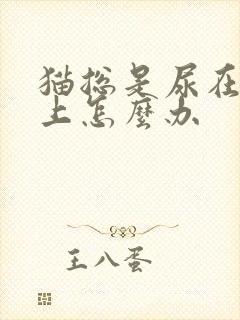 猫总是尿在被子上怎么办