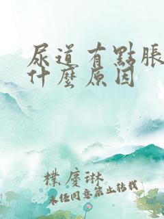 尿道有点胀痛是什么原因