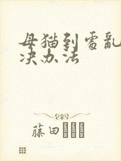 母猫到处乱尿解决办法