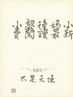 小黎后妈小说免费阅读最新章节更新