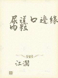 尿道口边缘有小肉粒