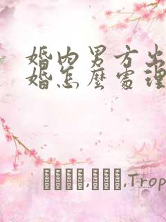 婚内男方出轨离婚怎么处理财产分割