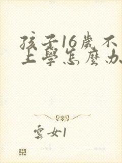 孩子16岁不想上学怎么办?