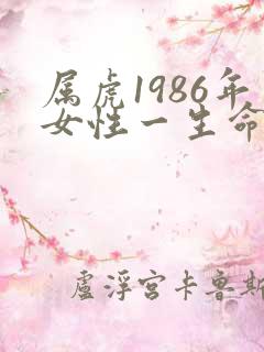 属虎1986年女性一生命运