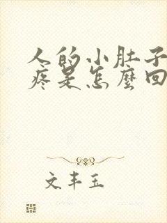 人的小肚子左边疼是怎么回事