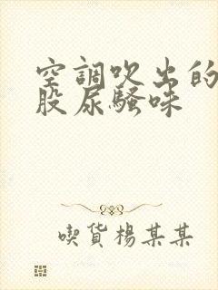 空调吹出的风有股尿骚味