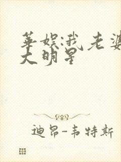 华娱:我老婆是大明星