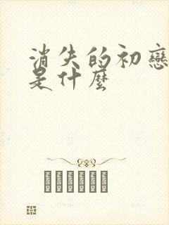 消失的初恋结局是什么