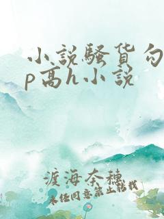 小说骚货勾引np高h小说