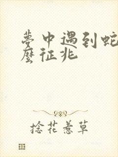 梦中遇到蛇是什么征兆