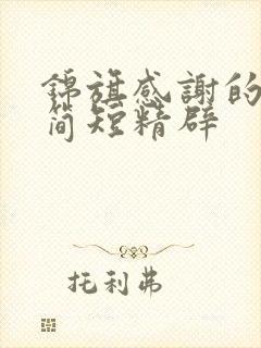 锦旗感谢的话语简短精辟