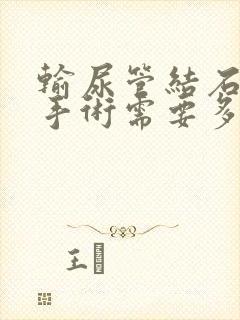 输尿管结石碎石手术需要多少钱