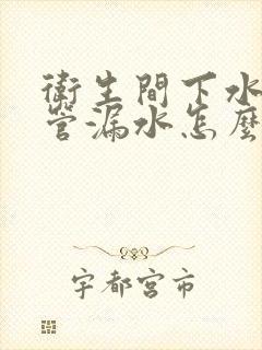 卫生间下水道水管漏水怎么办