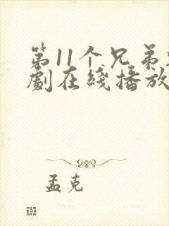 第11个兄弟韩剧在线播放免费观看