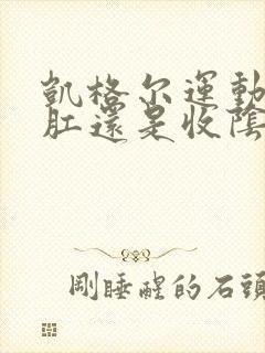 凯格尔运动是提肛还是收阴