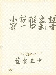 小说推文校园甜宠一口气看完