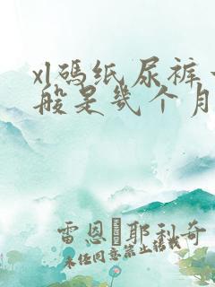 xl码纸尿裤一般是几个月宝宝穿