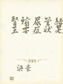 肾输尿管结石的主要症状是