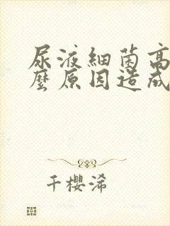 尿液细菌高是什么原因造成的