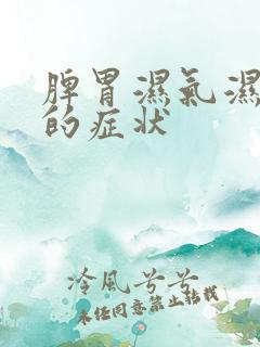 脾胃湿气湿热重的症状