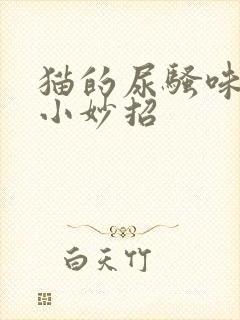 猫的尿骚味去除小妙招