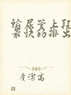 输尿管上段结石最快的排出方法