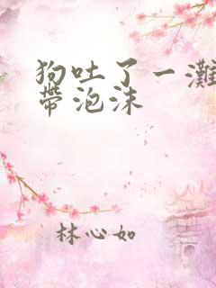 狗吐了一滩黄水带泡沫