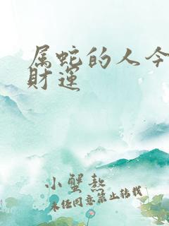 属蛇的人今天的财运