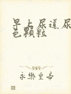 早上尿道尿出白色颗粒