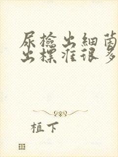 尿检出细菌数高出标准很多