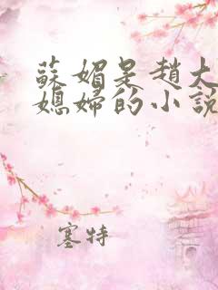 苏媚是赵大宝儿媳妇的小说