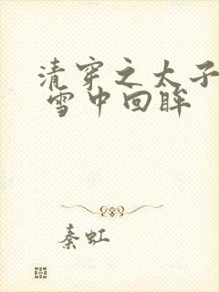 清穿之太子娇妃 雪中回眸