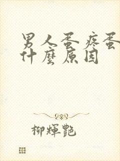 男人蛋疼蛋肿是什么原因