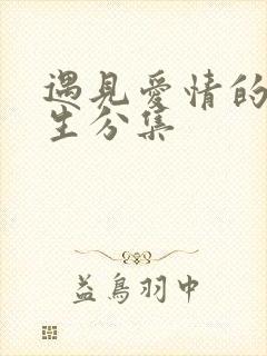 遇见爱情的利先生分集