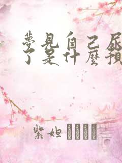 梦见自己尿裤子了是什么预兆女人