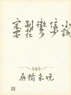 定制微信小程序要花多少钱