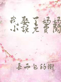 我娶了妈妈为妻小说免费阅读