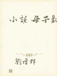 小说 母子乱