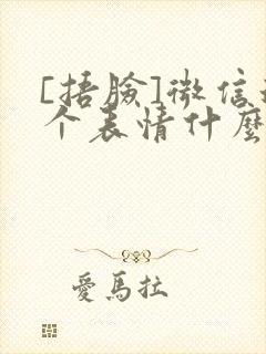 [捂脸]微信这个表情什么意思