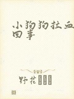 小狗狗拉血怎么回事